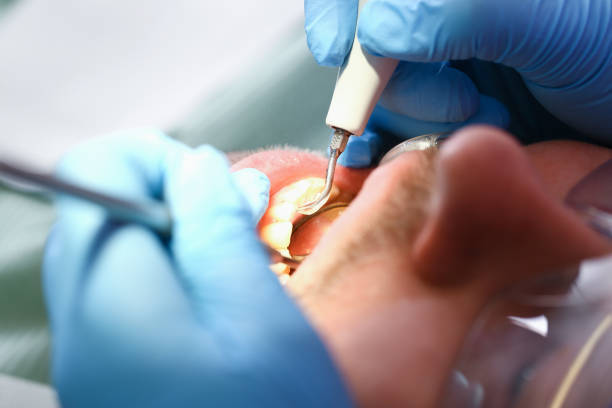 Best Pediatric Emergency Dentist in Waynesboro, TN